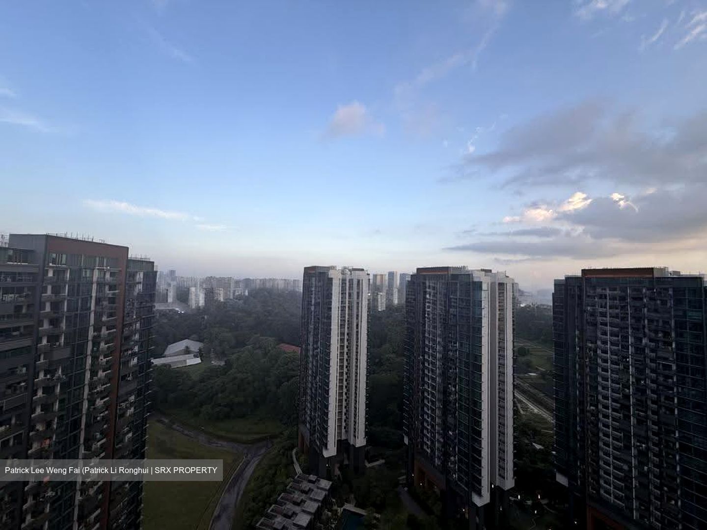 Normanton Park (D5), Apartment #607989111